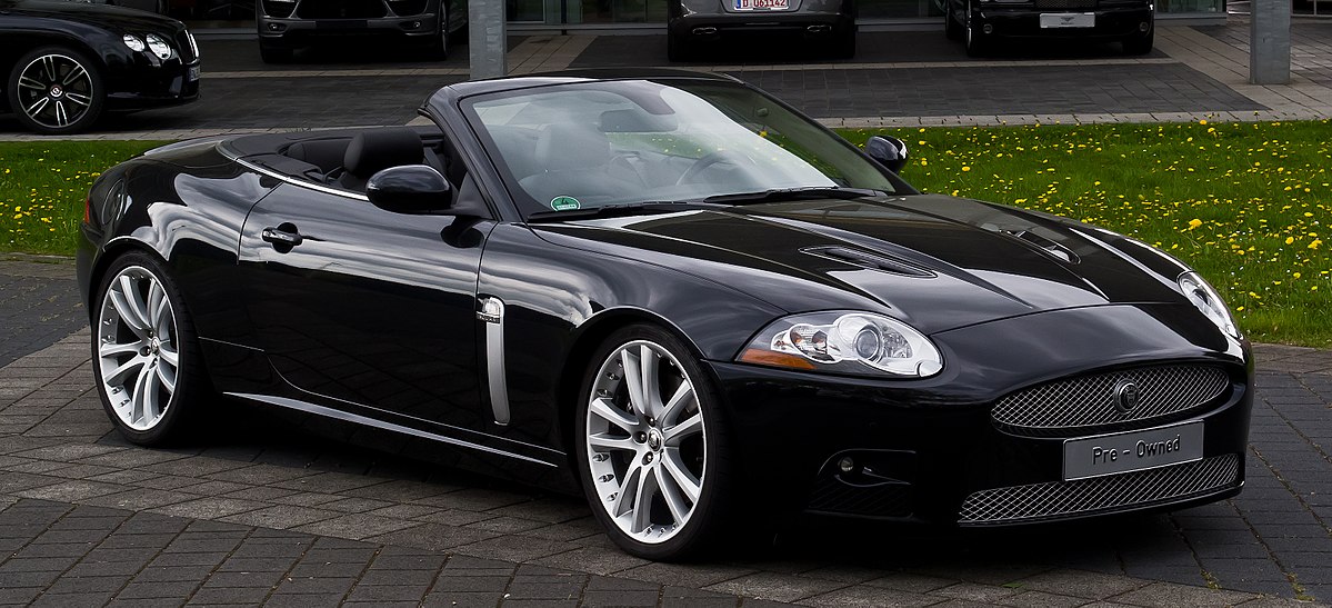 Imagen de un Jaguar